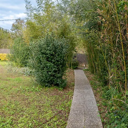 Ca Na Tonina By Sealand *