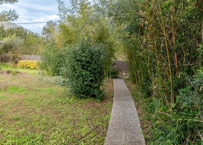 Ca Na Tonina By Sealand *